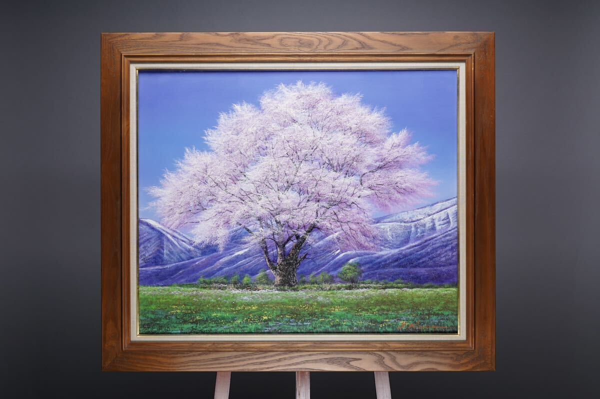 Echte Arbeit von Yukio Kimura [Kirschblüten auf der Koiwai Farm, Iwate] Großformatiges Ölgemälde F20 (73cm x 60cm) Signiert, gebilligt, und versiegelt Kirschblüten in voller Blüte Ein tief bewegendes Meisterwerk Eine Kirschblüte, Malerei, Ölgemälde, Natur, Landschaftsmalerei