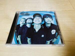 ■即決 希少■ ELLEGARDEN / RIOT ON THE GRILL (US盤)