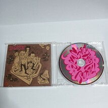 SPICY SPUNKY PUNK　CD　THE MODS モッズ_画像3