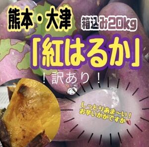 激安お買得！ 紅はるか 訳あり 20kg 熊本県産