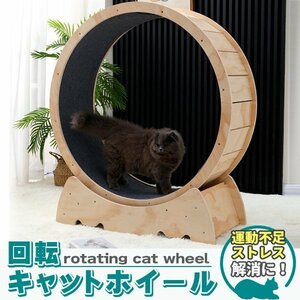 キャットホイール 猫専用ルームランナー 猫 回し車 猫ホイール 室内運動用 ホイール ローラー 自走式 ルームランナー