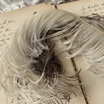 フランスアンティーク　オーストリッチフェザー　ツートン　ostrich　Feather　ディスプレイ_画像4