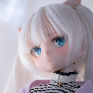 DDH-29 SW肌 カスタムヘッド+アイの画像4