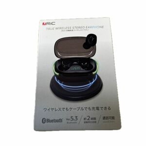 完全ワイヤレスイヤホン Bluetooth対応 ブラック リック BT0026 BK