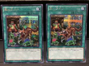 遊戯王　隣の芝刈り　シークレットレア　2枚セット＊痛みあり中古品