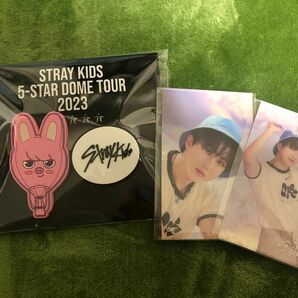 Stray Kids 5-STAR Dome Tour オンラインくじ ラバークリップ チャンビン ステッカー2枚おまけ付き
