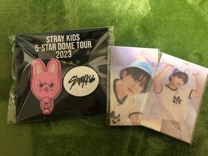 Stray Kids 5-STAR Dome Tour オンラインくじ ラバークリップ チャンビン ステッカー2枚おまけ付き