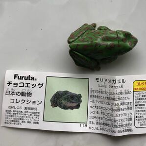 モリアオガエル チョコエッグ 日本の動物コレクション 第4弾 海洋堂 カプセルQの画像1