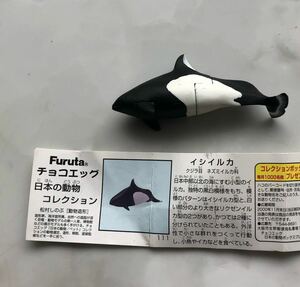 イシイルカ チョコエッグ 日本の動物コレクション 第4弾 海洋堂 カプセルQ