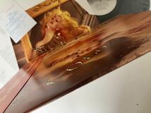 【美盤美品/ポスター/葉書付】シンディ・ローパー Cyndi Lauper / True Colors 帯付LP 28・3P-760 86年2nd,Billy Joel,Bangles,Aimee Mann_画像6