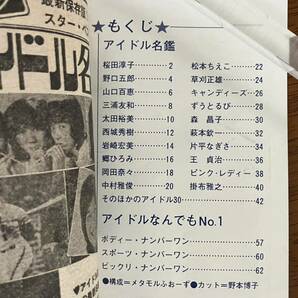 1977 中学一年コース 4月号 付録 アイドル 桜田淳子 野口五郎 山口百恵 西城秀樹 郷ひろみ 森昌子 キャンディーズ ピンクレディー 岡田奈々の画像3