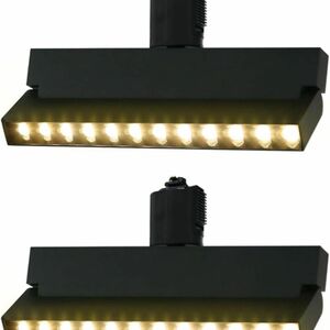 ACLARA スポットライト ダクトレール用 LED一体型照明