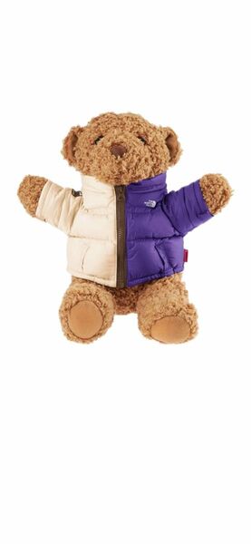 付属品完備　新品未使用未開封タグ付き　Supreme x The North Face Bear