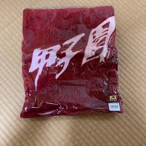 甲子園 スポーツタオル