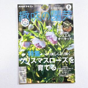 NHKテキスト趣味の園芸 2024年 02 月号 より美しくより強くクリスマスローズを育てる