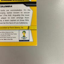 Panini Prizm 2014 FIFA WORLD CUP Brasil　CARLOS VALDERRAMA カルロスバルデラマ 直筆サイン入りカード　サッカー_画像9