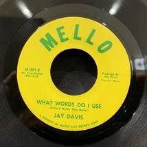 【EP】Jay Davis - Look At What I Found / What Words Do I Use US盤 Mello M 001_画像2