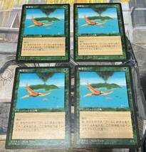 極楽鳥/Birds of Paradise 4枚セット 日本語版_画像1