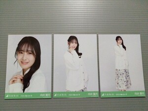 乃木坂46　向井葉月　生写真　刺繍カーディガン　コンプ