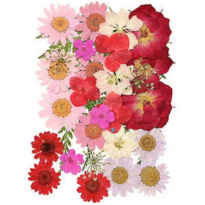  flower Mix red * pink series 14×10cm size 1 sheets 2209 that day shipping pf23
