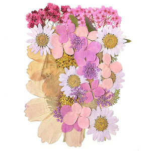  засушенный цветок Mix лиловый * розовый серия 14×10cm размер 1 листов 2209 этот день отправка pf18