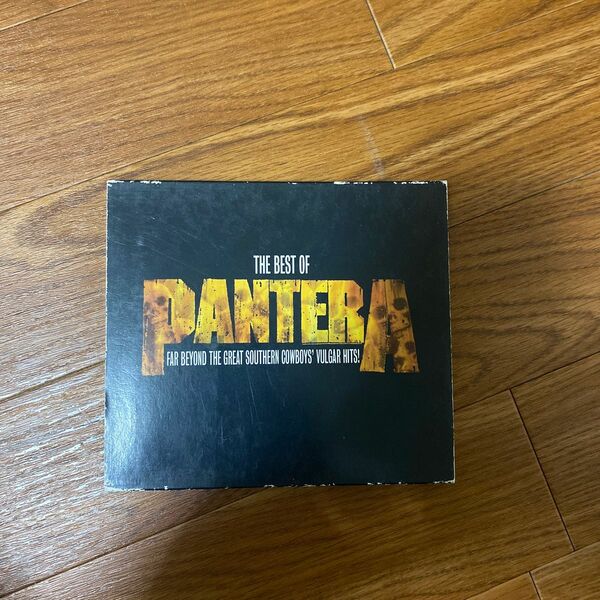 THE BEST OF PANTERA DVD付き