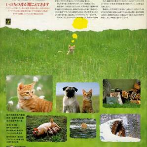 H00017221/VHD/「子猫物語」の画像2