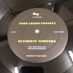 Todd Terry Project - Ultimate Jumping　(A25)