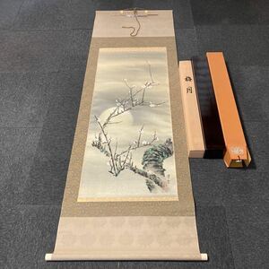 【模写】掛軸 孝雪 絹本 梅 二重箱 120サイズ発送 共箱 同梱可能 No.3344