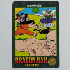 ドラゴンボールカードダス ビジュアルアドベンチャー 31 ただ今修行中