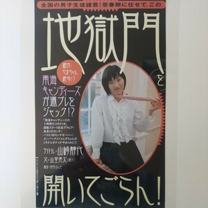 『雑誌グラビア ラミネート加工』O-1342『南海キャンディーズ 山崎静代 水着』プレイボーイ 平成17年12月13日発行 B5 4枚8ページ ※15 