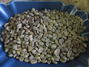 生豆　コーヒー生豆　スタンダード　２ｋｇ～３ｋｇ　ハローコーヒー#416