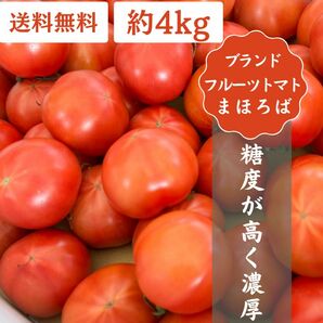 高知県産 土佐 まほろばトマト 約4kg フルーツトマト 特産