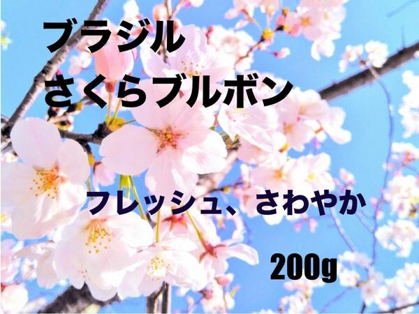 爽やかな酸味　ブラジさくらブルボン　200g 自家焙煎　コーヒー豆　甘いコーヒー　