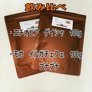 モカフレーバー　フルーティー　イルガチェフェＧ１　ブナブナ　100g ゲイシャ　100g スペシャリティ　自家焙煎　コーヒー豆