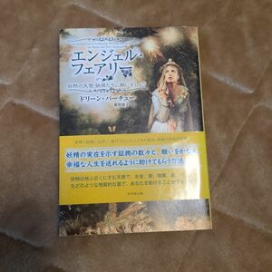 エンジェル・フェアリー　自然の天使・妖精たちに願いましょう ドリーン・バーチュー／著　奥野節子／訳