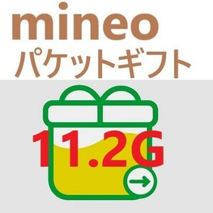 mineoパケットコード11.2Ｇ　⑬