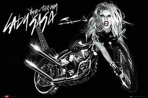 HA013ポスター レディガガLady Gaga Album 2 60x91cm