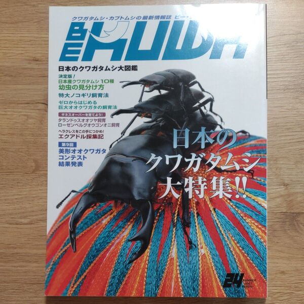 BE-KUWA　ビークワ 24夏号 　「日本のクワガタムシ大特集」