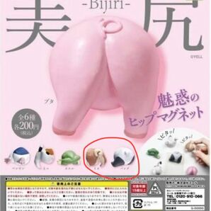 美尻 -Bijiri- 魅惑のヒップマグネット　犬　パンダ　ガチャ　複数