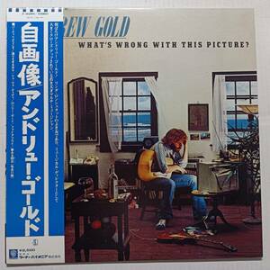 即決 アンドリュー・ゴールド　自画像　帯付き　ANDREW GOLD　AOR YA