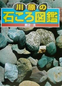 川原の石ころ図鑑／渡辺一夫