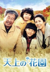 天上の花園　ＤＶＤ－ＢＯＸ２／ユ・ホジョン,チェ・ブラム,ヒョン・ウソン