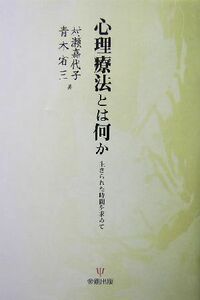 心理療法とは何か 生きられた時間を求めて／村瀬嘉代子(著者),青木省三(著者)