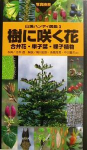 樹に咲く花　合弁花・単子葉・裸子植物 山渓ハンディ図鑑５／茂木透,高橋秀男,勝山輝男,石井英美,太田和夫,城川四郎,崎尾均,中川重年