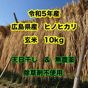 玄米10kg 無農薬　天日干し