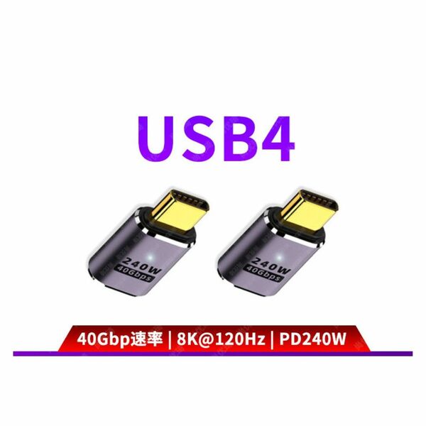 【2個セット】USB4 Type C 変換アダプタ ストレート型 USB 4.0