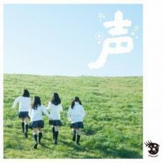 CD whiteeeen 声 (通常盤) ホワイティーン グリーン GReeeeN 愛唄 ストロボエッジ UPCH-2072 [523]