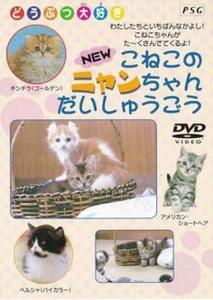 NEW こねこのニャンちゃん大集合 中古 DVD