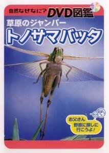 自然なぜなに? DVD図鑑 草原のジャンパー トノサマバッタ レンタル落ち 中古 DVD